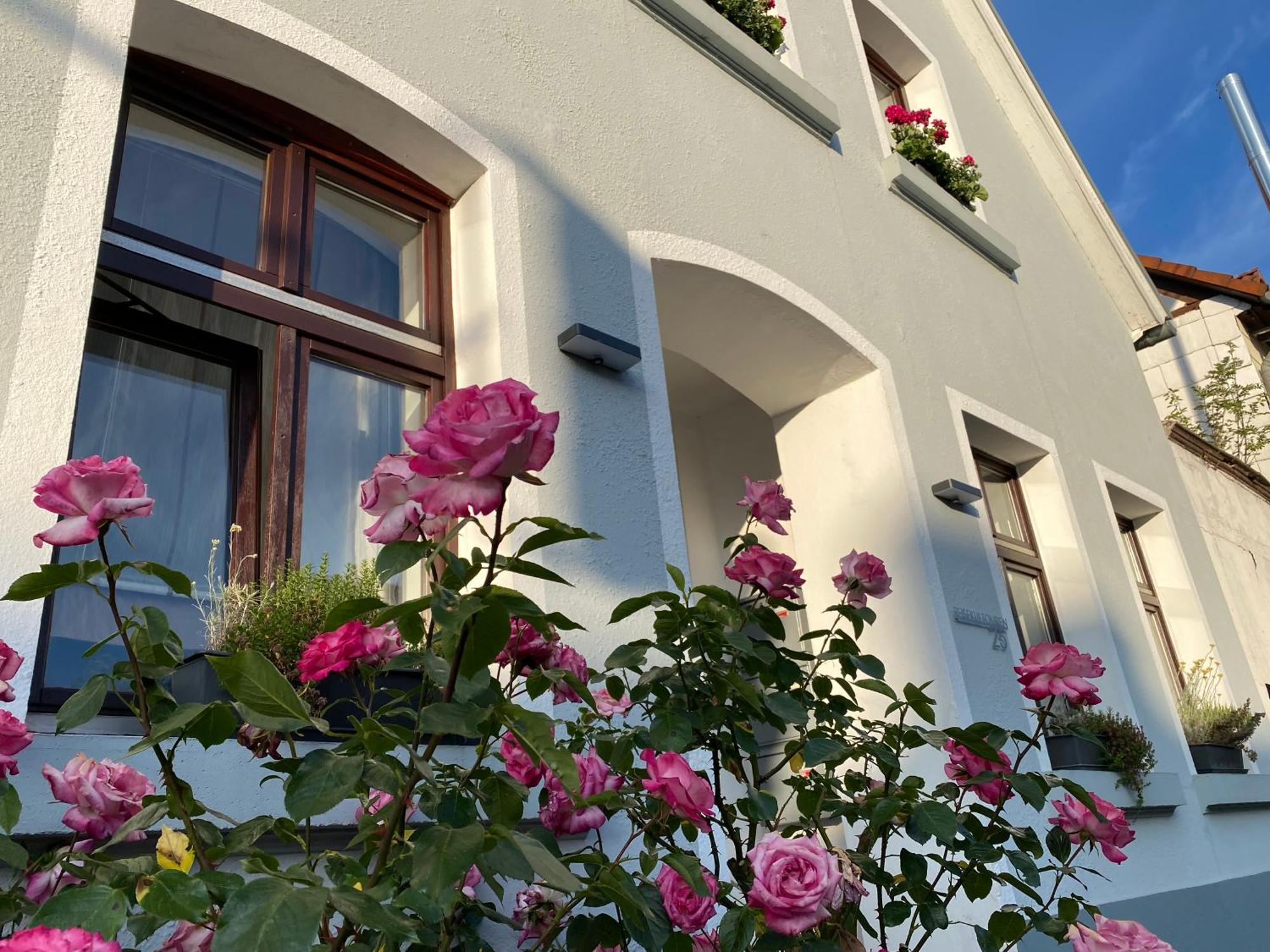 Reisekultouren Apartments Detmold Zewnętrze zdjęcie