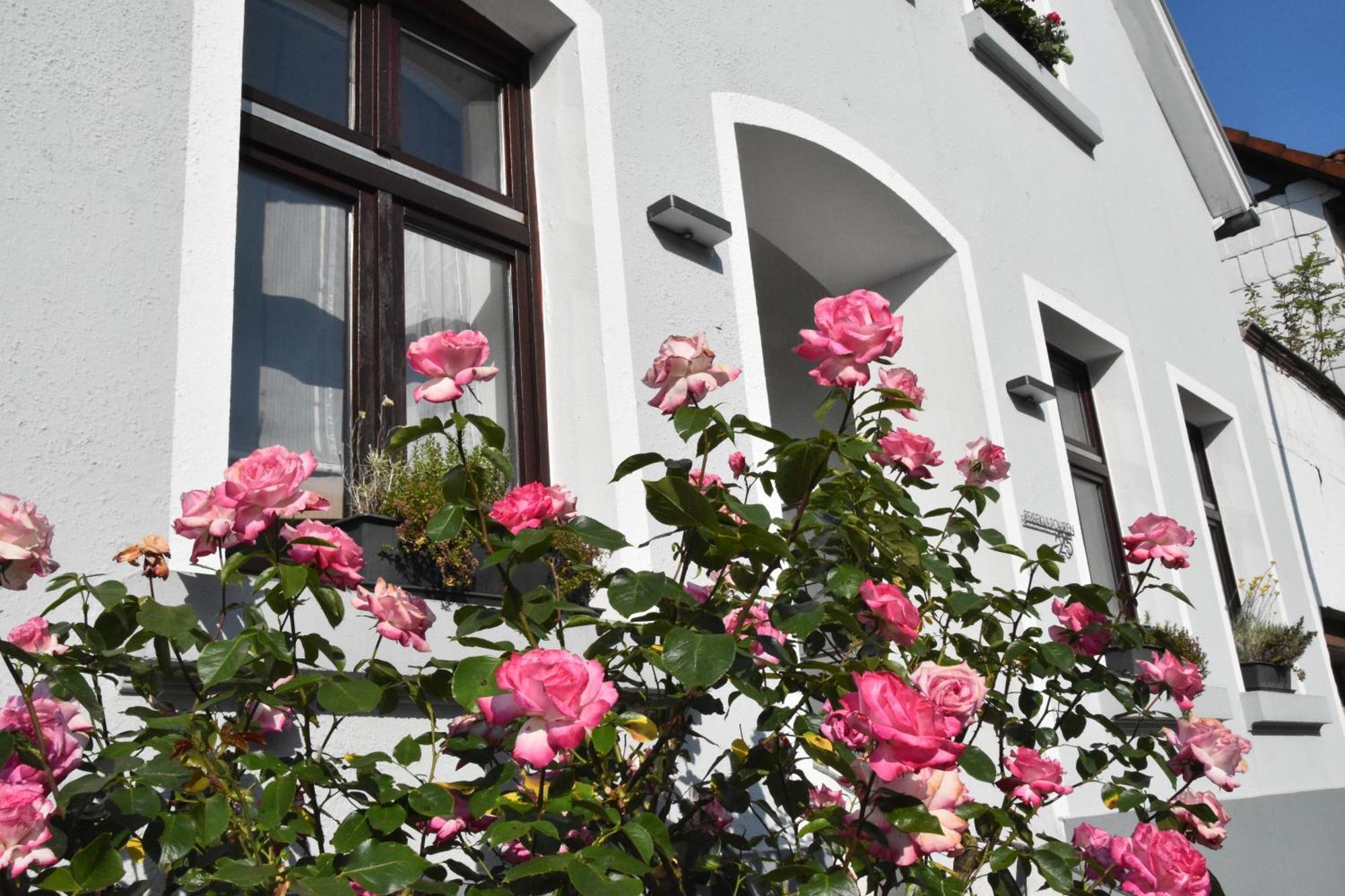 Reisekultouren Apartments Detmold Zewnętrze zdjęcie